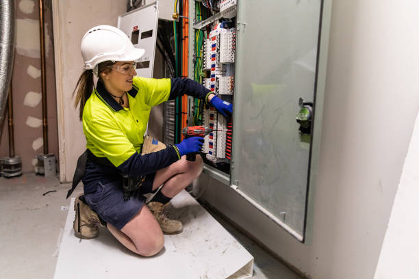 Best Electrical System Inspection  in Osceola, WI