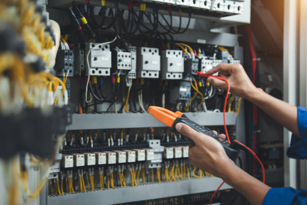 Best Electrician for Home Renovation  in Osceola, WI